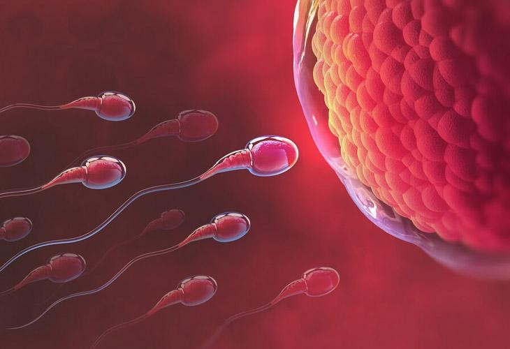 dấu hiệu có thai tuần đầu