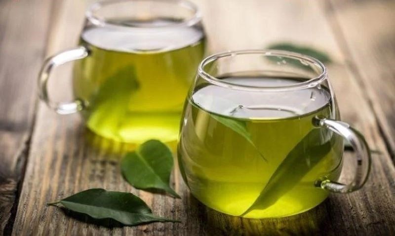 Nấu nước lá vú sữa tươi tối thiểu 10 ngày để uống chữa bệnh dạ dày