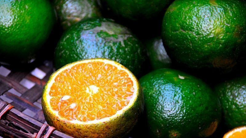trái cây giúp mau lành vết thương