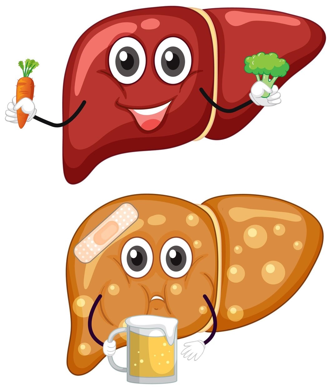 Gan nhiễm mỡ xuất hiện do nhiều lý do khác nhau