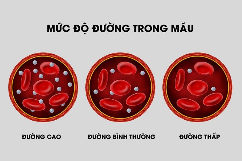 25 chỉ số xét nghiệm sinh hóa